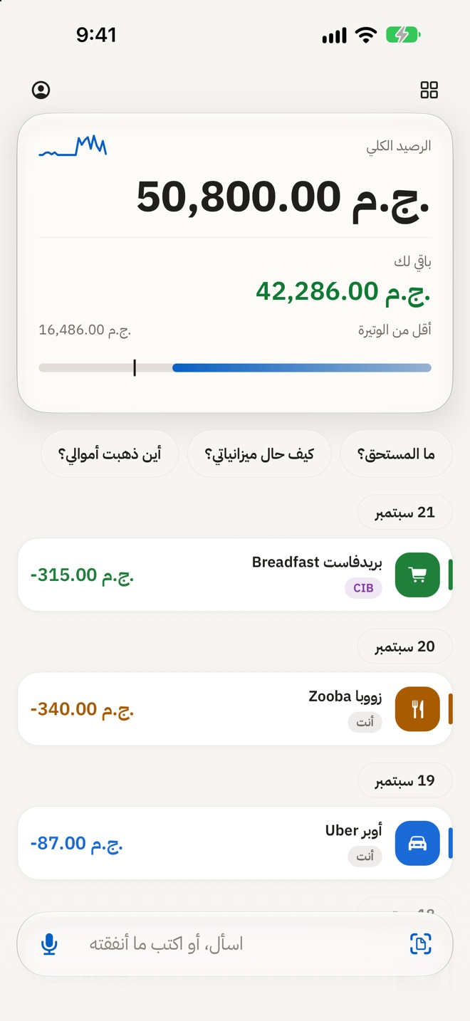 القائمة: الرصيد الكلي، وما تبقّى للإنفاق، وقيود اليوم.